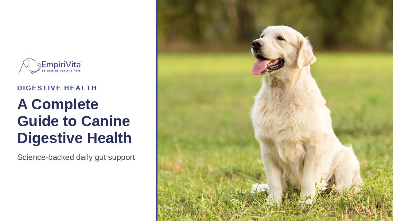 A Complete Guide to Your Dog's Digestive Health — EmpiriVita