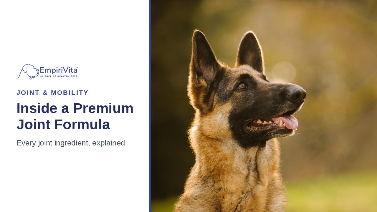 Understanding the Ingredients in a Premium Canine Joint Supplement — EmpiriVita