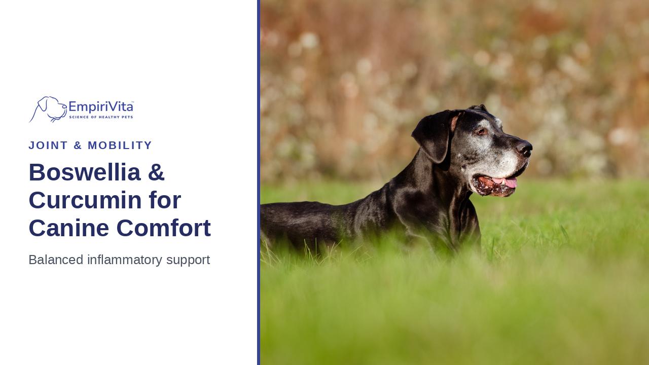 Boswellia and Curcumin for Dogs: Targeted Joint Comfort Support — EmpiriVita