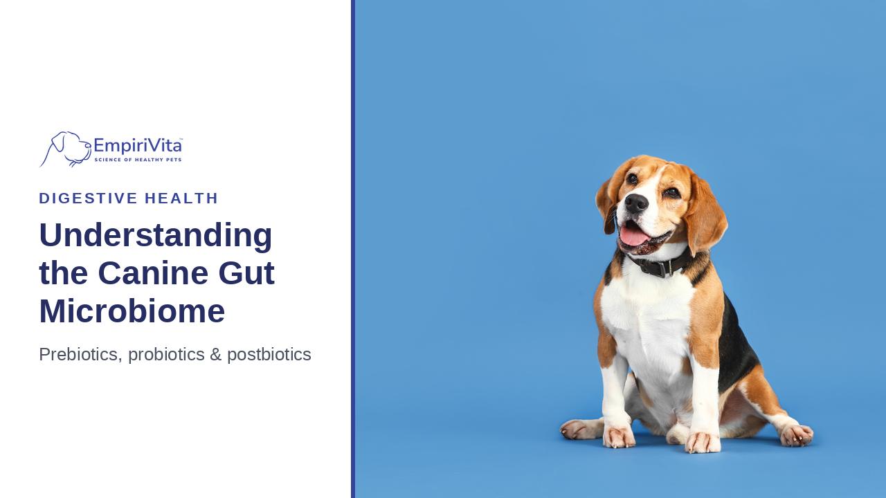 The Canine Gut Microbiome: Prebiotics, Probiotics, and Postbiotics Explained — EmpiriVita