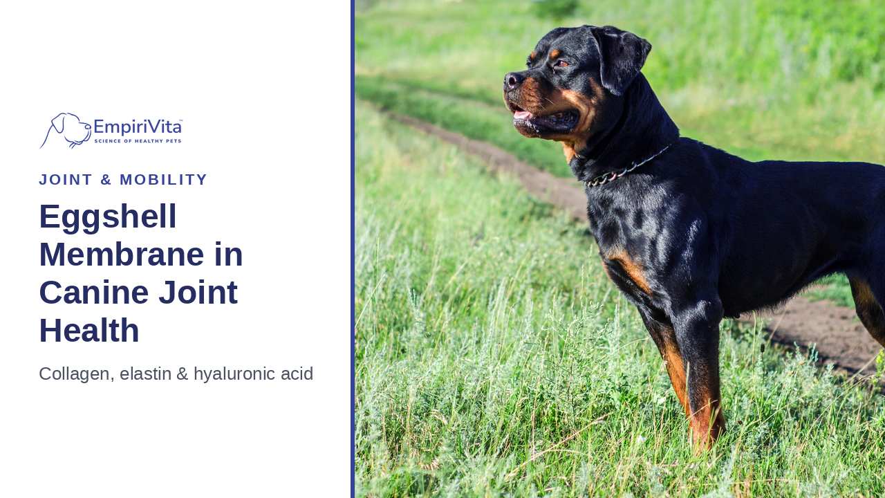 Eggshell Membrane for Dogs: Collagen, Elastin and HA for Joints — EmpiriVita
