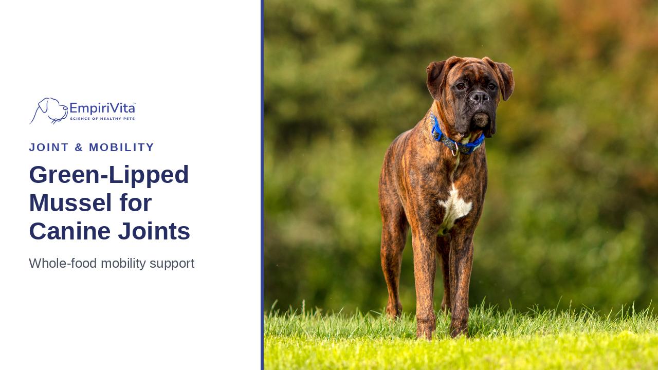 Green-Lipped Mussel for Dogs: Whole-Food Joint Support — EmpiriVita