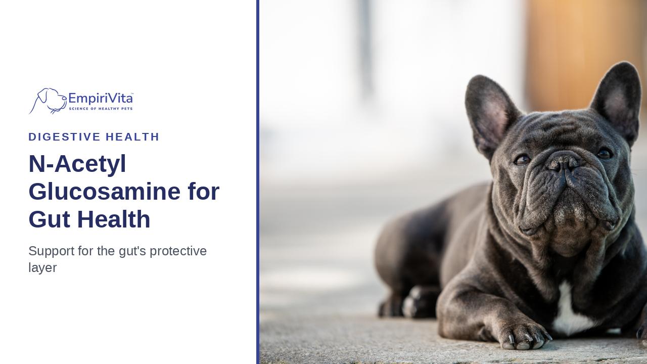 N-Acetyl Glucosamine (NAG) for Dogs: A Gut Health Guide — EmpiriVita
