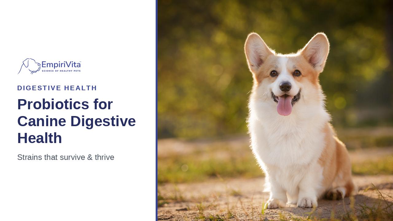 Probiotics for Dogs: Benefits, Best Strains, and How They Work — EmpiriVita