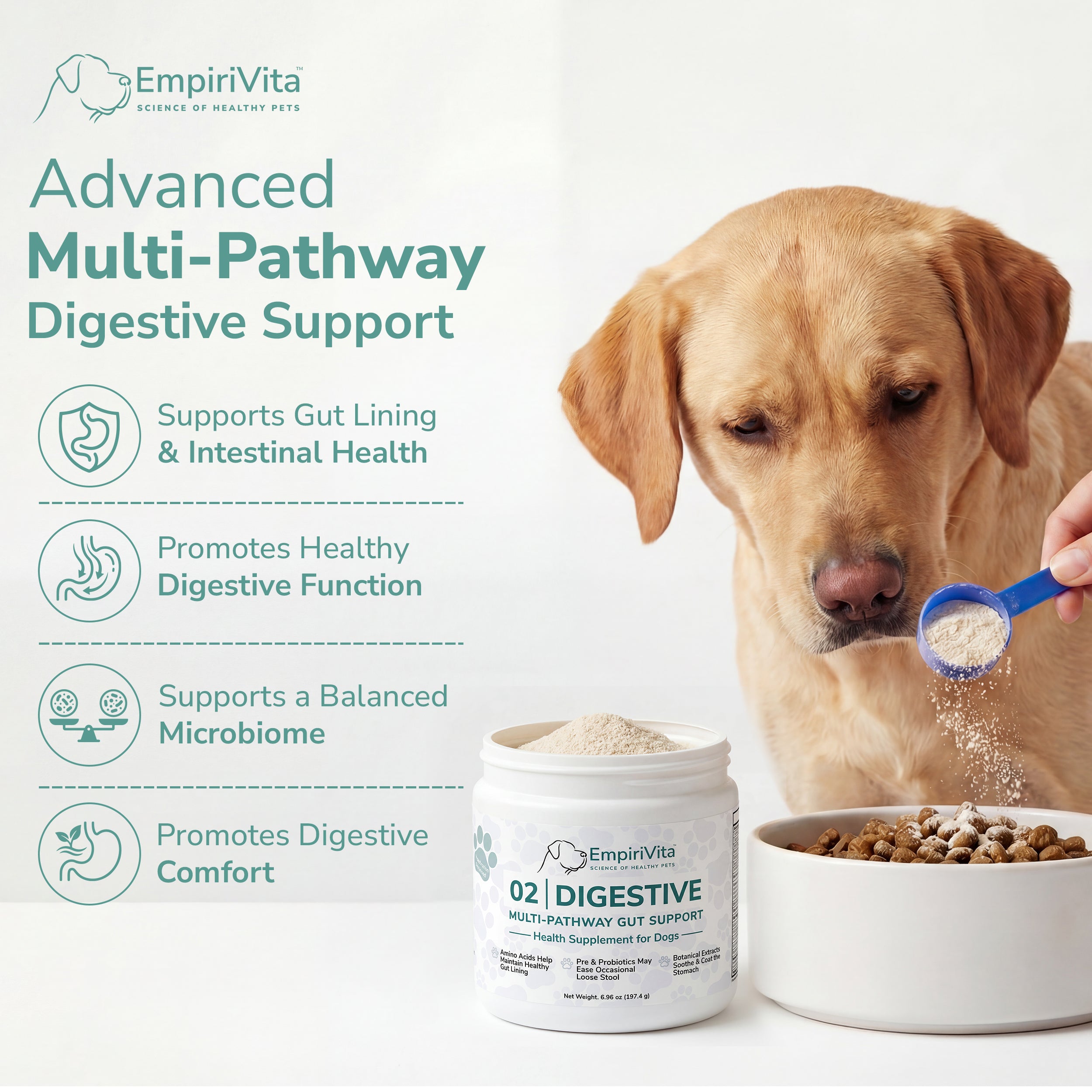 Labrador eating as scoop of EmpiriVita 02 Digestive is added, with benefits for gut lining and digestive comfort.