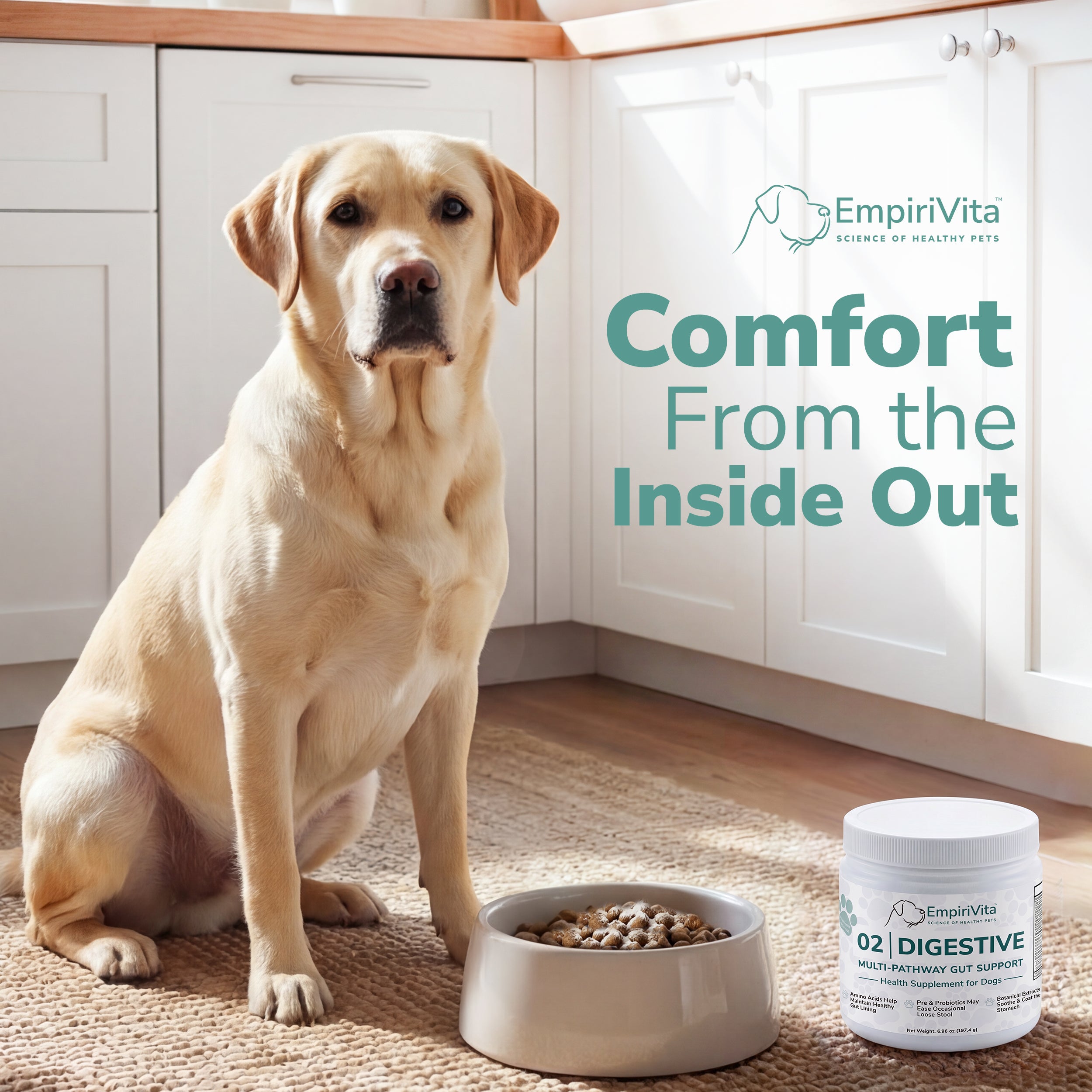 Labrador sitting by food bowl in kitchen with EmpiriVita 02 Digestive jar, supporting comfort from the inside out.